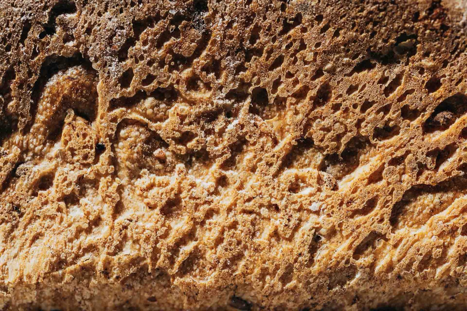 Produktfotografie Bäckerei Walter Buchmann Zürich — Bild 3 · Photoart Zürich